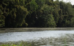 HEINEKEN Việt Nam đạt tham vọng bù hoàn nước, góp phần bảo vệ tài nguyên quốc gia