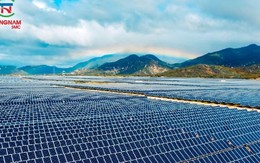 Điện mặt trời Trung Nam - Thuận Nam lãi ròng hơn 138,2 tỷ đồng trong năm 2024, lỗ lũy kế giảm xuống 849,3 tỷ đồng