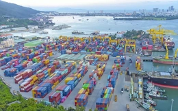 Lợi nhuận doanh nghiệp cảng biển: Kẻ thắng lớn, người ngậm ngùi