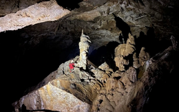 Việt Nam vừa phát hiện 1 loài vật mới xuất hiện ở Quảng Trị: Hé lộ mối liên kết đặc biệt với quốc gia hàng xóm