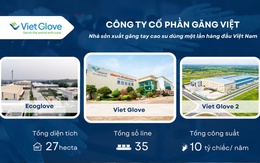 Găng Việt: Tiên phong dẫn lối phát triển ngành công nghiệp găng tay Việt
