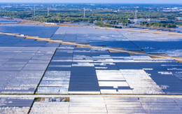 Báo lãi năm 2024, Trung Nam Thuận Nam giảm lỗ lũy kế về gần 850 tỷ đồng