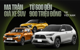 Ma trận 16 xe giá 600-900 triệu đồng: Mitsubishi Destinator về Việt Nam 'chen chân' vào đâu?