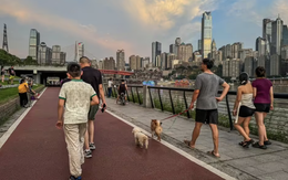 Bài tập đơn giản nhưng “hiệu quả” gấp 4 lần đi bộ, 8 lần chạy bộ: Tập đúng còn chống đột quỵ, ung thư