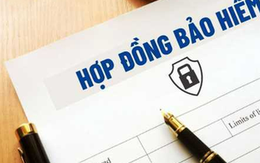 Nhiều người mua bảo hiểm nhân thọ 'ngã ngửa' khi đóng cả trăm triệu nhưng chỉ nhận lại vài chục triệu: Sự thật về loạt khoản phí 'ăn mòn' giá trị hợp đồng