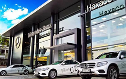 Tổng Giám đốc Haxaco muốn thoái bớt vốn