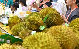 Tin vui cho sầu riêng Đông Nam Á: Nhu cầu sầu riêng của Trung Quốc bùng nổ trở lại, một nhà cung cấp thị phần tăng gấp 10 lần kể từ đầu năm Tin vui cho sầu riêng Đông Nam Á: Nhu cầu sầu riêng của Trung Quốc bùng nổ trở lại, một nhà cung cấp thị phần tăng gấp 10 lần kể từ đầu năm