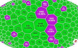 VN-Index lập đỉnh trong ngày kỷ niệm 25 năm thị trường chứng khoán