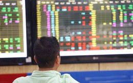 Cổ phiếu công ty đầu tiên niêm yết trên sàn chứng khoán Việt tăng hơn 2.200 sau 25 năm