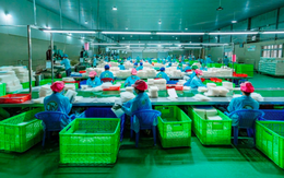 Từ cái 'chạm tay' của Thủ tướng đến những lô 'Bánh tráng Tây Ninh không nhúng nước' xuất đi 8 quốc gia