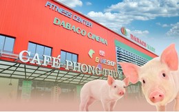 Vaccine bảo hộ hiệu quả giữa bão dịch tả lợn, Dabaco (DBC) báo lãi quý 2 tăng trưởng 250% Vaccine bảo hộ hiệu quả giữa bão dịch tả lợn, Dabaco (DBC) báo lãi quý 2 tăng trưởng 250%