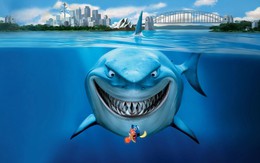 28% vốn công ty đổi chủ trong ít ngày, cổ phiếu tăng vọt lên đỉnh 3 năm, điều gì đang diễn ra tại Petrosetco?