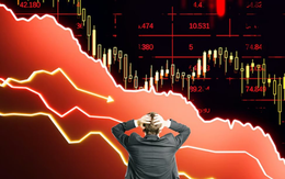 Thị trường chứng khoán đột nhiên giảm mạnh, nhà đầu tư cần làm gì?