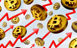 Cơn bão tiền số trị giá 86 tỷ USD quét qua thị trường chứng khoán: Doanh nghiệp đua nhau gom hàng thổi giá, tạo nên ‘bong bóng’ mới trong thế kỷ 21