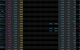 Chứng khoán sụp mạnh sau khi vượt đỉnh, nhiều nhà đầu tư bắt đầu lo