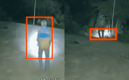 3h sáng, cụ ông 82 tuổi lặng lẽ ra vườn hái mận gửi cho con trai ở xa 1.300km, biết lý do ai cũng không kìm được nước mắt