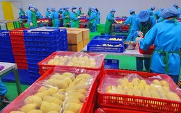 Xuất khẩu hơn 14.000 tấn sầu riêng đông lạnh