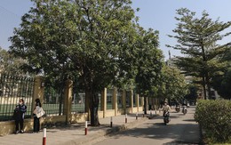 Có một ngôi trường, nếu đủ duyên và nỗ lực, bạn có thể gắn bó từ lớp 6 đến... tiến sĩ: Nghe khó tin nhưng có thật! Có một ngôi trường, nếu đủ duyên và nỗ lực, bạn có thể gắn bó từ lớp 6 đến... tiến sĩ: Nghe khó tin nhưng có thật!