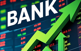 Nhiều cổ phiếu ngân hàng hồi phục, 2 mã tăng kịch trần