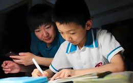 Con bạn có học giỏi được hay không, nhìn vào 4 điểm này là biết ngay: Đừng cố thúc ép một cách mù quáng!