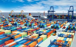 Viconship báo lãi sau thuế quý 2/2025 tăng 62,45%