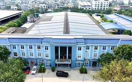 CTCP Damsan lợi nhuận 6 tháng đầu năm 2025 tăng đột biến