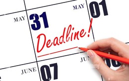 Cập nhật BCTC chiều ngày 31/7: Vingroup, Hòa Phát, Đất Xanh... công bố, Vietnam Airlines, Coteccons báo lãi trước thuế tăng bằng lần