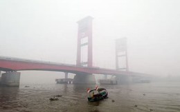 Trái đất xuất hiện những mùa mới