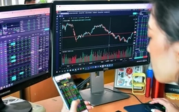 Cổ phiếu bắt đáy về tài khoản, VN-Index mất đà tăng