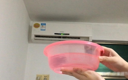 Đặt chậu nước trong phòng điều hòa chỗ nào là tốt nhất? Không phải ai cũng biết cách làm đúng