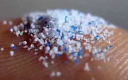 Sốc: Mỗi ngày bạn hít tới 68.000 hạt nhựa ngay trong chính ngôi nhà mình