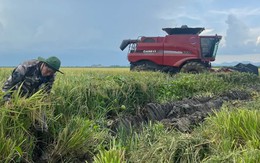 Động thái chưa từng có tiền lệ: Cuba đánh cược tương lai nông nghiệp vào hạt giống Việt Nam Động thái chưa từng có tiền lệ: Cuba đánh cược tương lai nông nghiệp vào hạt giống Việt Nam