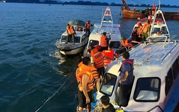 Các hãng bảo hiểm đã chi trả bao nhiêu tiền cho người nhà nạn nhân vụ lật tàu Vịnh Xanh 58?