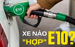 Từ mai, xăng E10 được bán rộng rãi: Thực hư loại xăng mới dễ gây hỏng động cơ, chủ xe lưu ý Từ mai, xăng E10 được bán rộng rãi: Thực hư loại xăng mới dễ gây hỏng động cơ, chủ xe lưu ý