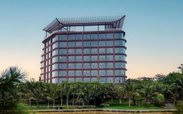 Doanh thu OCH tăng trưởng hơn 16% sau 6 tháng đầu năm 2025