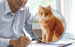 Cụ ông 82 tuổi sẵn sàng trao cả gia tài cho người chăm mèo cưng