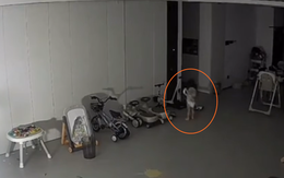 Đợi bố mẹ ngủ say, bé gái còn mặc bỉm nửa đêm bật dậy làm những việc không thể tin nổi!