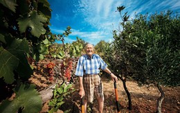 Bác sĩ nói “ung thư, chỉ sống được 9 tháng nữa”, cụ ông sống thêm 37 năm nhờ làm 1 việc