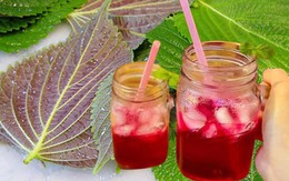 Loại lá trong vườn có tác dụng trị nám, làm sáng da nhanh chóng: Mùa hè có thể dùng để uống hoặc đắp mặt nạ