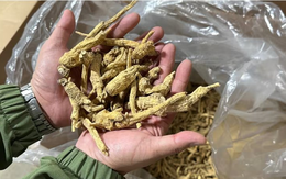 Trung Quốc quay lưng với mặt hàng được coi là thần dược, nông dân Mỹ điêu đứng chịu ép giá, lãi mỏng, phải rút tiết kiệm, đi vay duy trì qua ngày, đối mặt tương lai ảm đạm