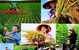 Tin vui cho hàng triệu người dân Việt Nam: Kéo dài thời hạn miễn thuế sử dụng đất nông nghiệp đến hết ngày 31/12/2030