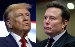 Thức tỉnh khỏi cơn say quyền lực, Elon Musk sốt sắng tìm cách cứu Tesla khỏi đòn giáng của ông Trump, đại sứ Mỹ nói “châu chấu đá xe”