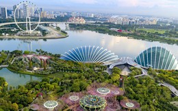 Lộ diện quốc gia rót hơn 4,5 tỷ USD vốn FDI vào Việt Nam trong 6 tháng 2025: Không phải các nền kinh tế top đầu như Nhật Bản hay Trung Quốc