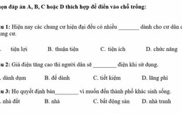 Làm đề thi tiếng Việt cho người nước ngoài, dân bản xứ tự hoài nghi khả năng dùng tiếng mẹ đẻ của mình