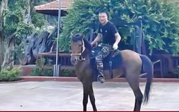 Vi 'ngộ' – từ kẻ có bệnh án tâm thần đến ông trùm thế giới ngầm