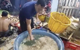 Công an TP HCM kiểm tra đột xuất, phát hiện 3 cơ sở ngâm hoa chuối bằng hoá chất Công an TP HCM kiểm tra đột xuất, phát hiện 3 cơ sở ngâm hoa chuối bằng hoá chất