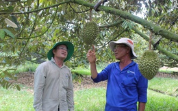 Loạt dự án chiến lược ở Tây Ninh được chấp thuận chủ trương đầu tư Loạt dự án chiến lược ở Tây Ninh được chấp thuận chủ trương đầu tư