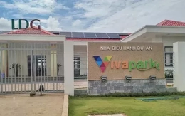 Bất thường cổ phiếu LDG