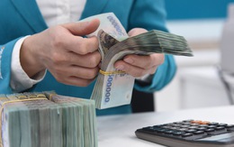 Công an Hà Nội khuyến nghị: Người nộp thuế cần hiểu rõ 4 điều sau để tránh "vô tình" vi phạm pháp luật Công an Hà Nội khuyến nghị: Người nộp thuế cần hiểu rõ 4 điều sau để tránh "vô tình" vi phạm pháp luật