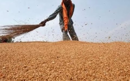 Hàng trăm nghìn tấn ‘báu vật’ từ Nga vừa đổ bộ vào Việt Nam: Thuế nhập khẩu 0%, Moscow đang là 'ông trùm' xuất khẩu của thế giới Hàng trăm nghìn tấn ‘báu vật’ từ Nga vừa đổ bộ vào Việt Nam: Thuế nhập khẩu 0%, Moscow đang là 'ông trùm' xuất khẩu của thế giới